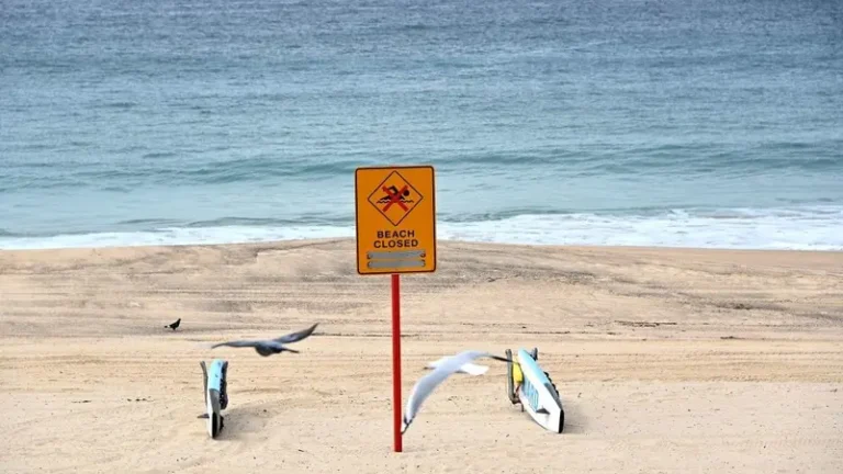 ‘Mysterious black balls’ close Sydney’s Coogee Beach