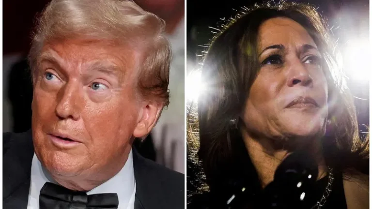 US elections countdown: Harris in Michigan as Trump hits eastern battleground states